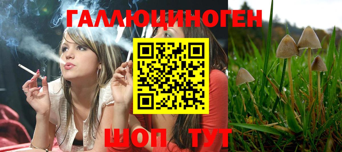Псилоцибиновые грибы мухоморы Морозовск